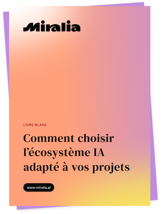 Livre Blanc Comment Choisir l'Ecosystème IA adapté à vos projets
